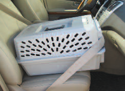 cage avec ceinture pour le voyage du chat en voiture